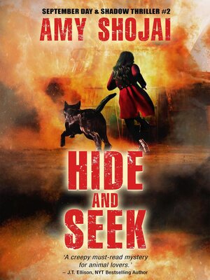 cover image of Hide and Seek